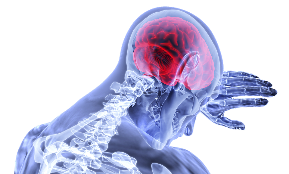 A semi-transparent human figure with an emphasis on the brain highlighted in red, illustrating brain activity or potential issues such as pain or inflammation, with the spine and upper body visible in an X-ray-like view.