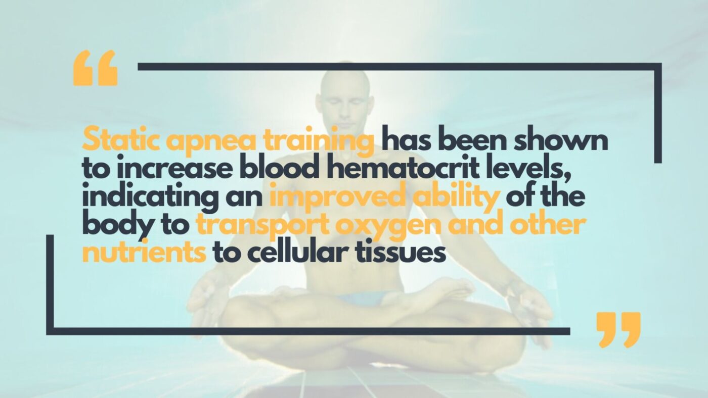 Static Apnea Training - Increased Oxygen Transport