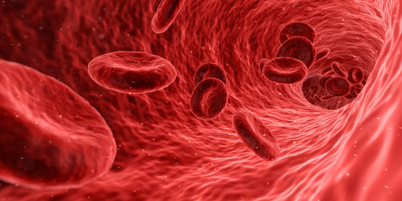 Close-up illustration of red blood cells flowing through a blood vessel.