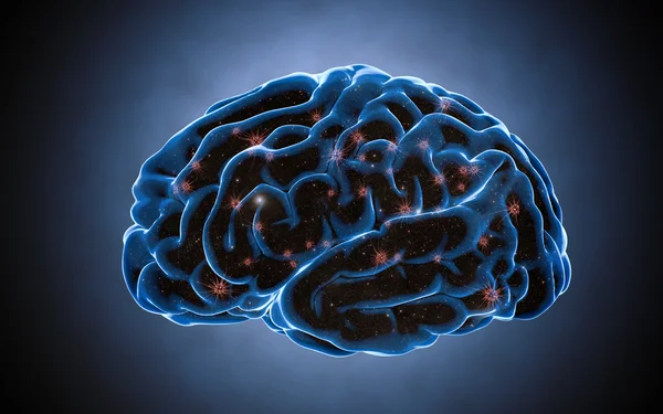 Neurotransmitters in the brain