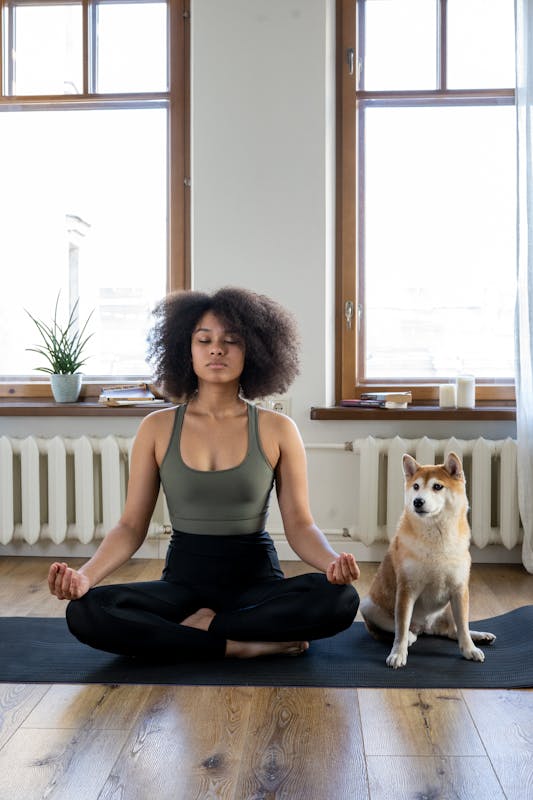Woman sitting in a meditative pose on a yoga mat with a dog sitting beside them in a bright room with large windows.