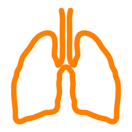Simple illustration of a pair of lungs symbolizing breathwork training